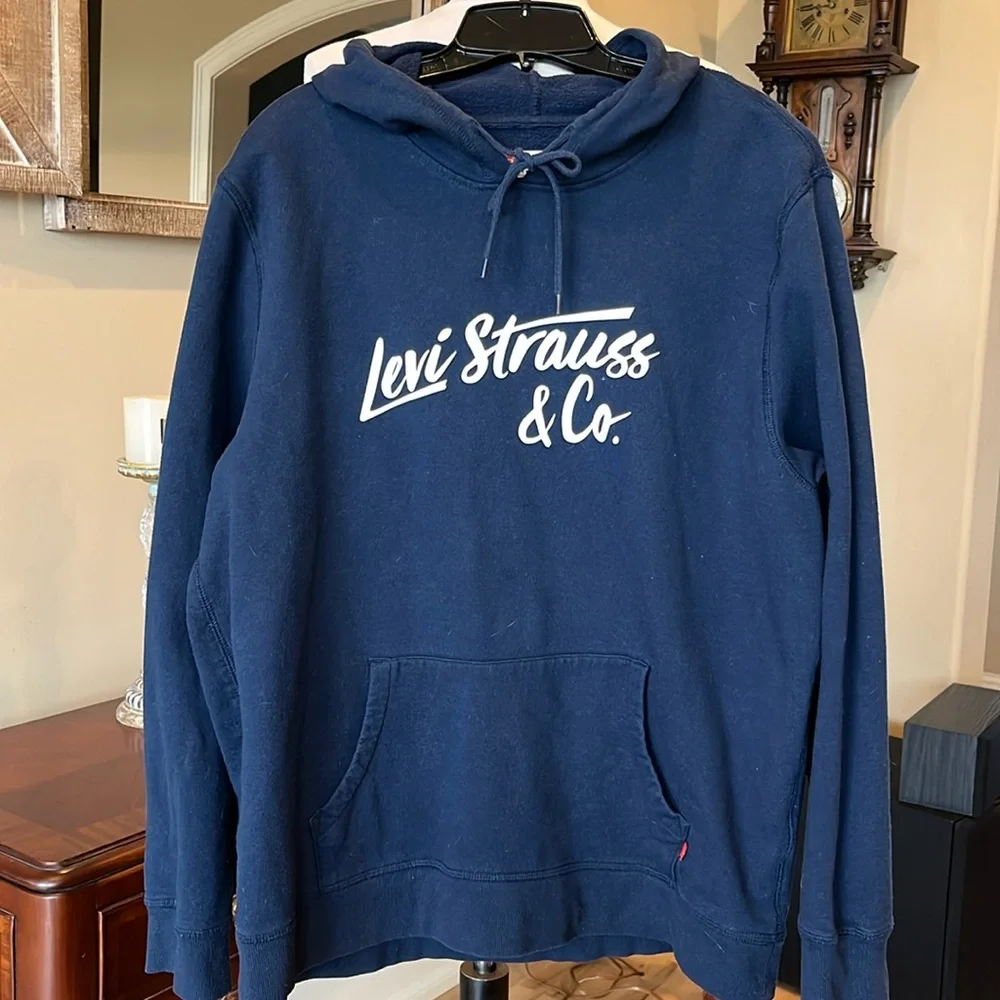 Levi Blue Hoodie